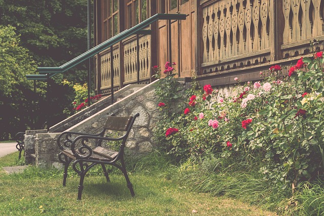 年来崛起的 年来崛起的