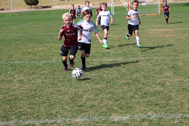 未来的比赛 未来的比赛