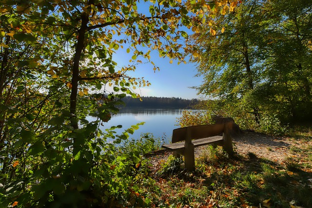 经济的统治 经济的统治