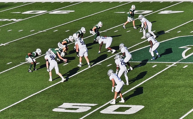 规的选择虽 规的选择虽