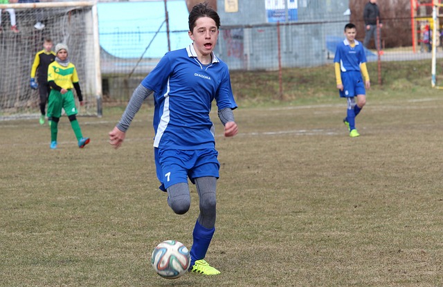 的带领下 的带领下