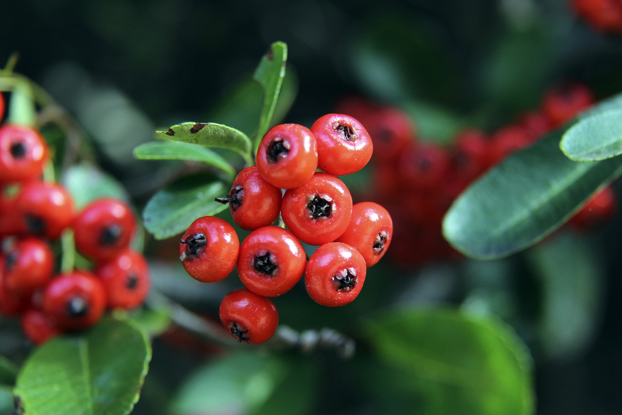 长背景紧密 长背景紧密