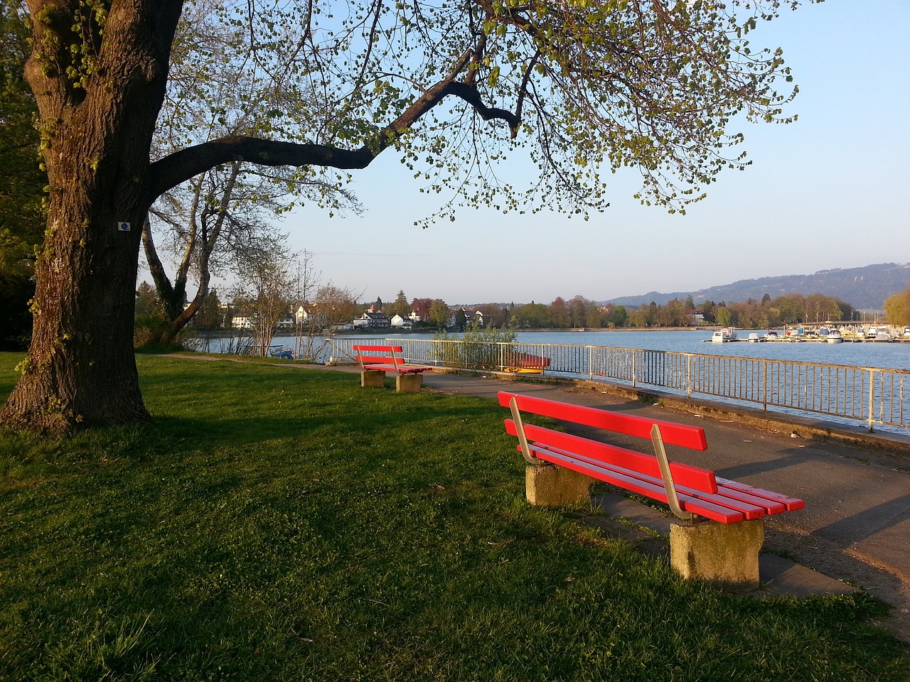 當提到洛杉 當提到洛杉