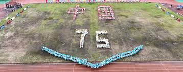 突出主题吸 突出主题吸