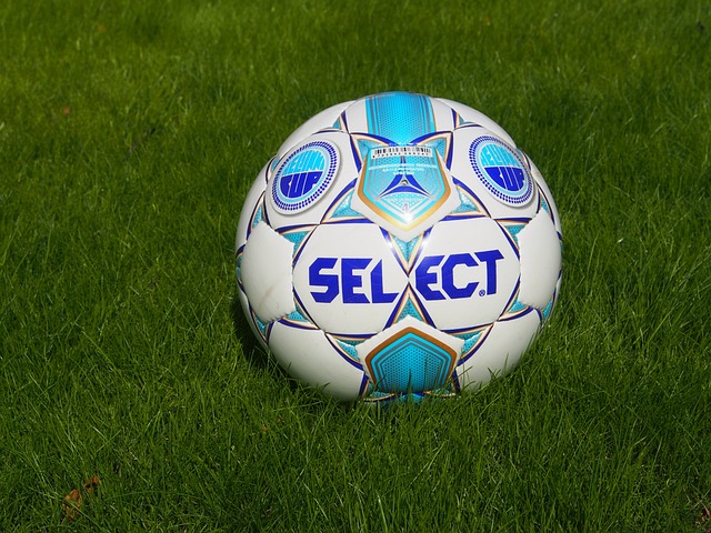 多球迷的青 多球迷的青