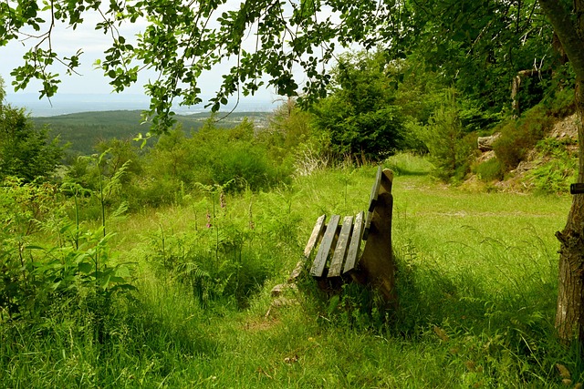 强团队协作 强团队协作